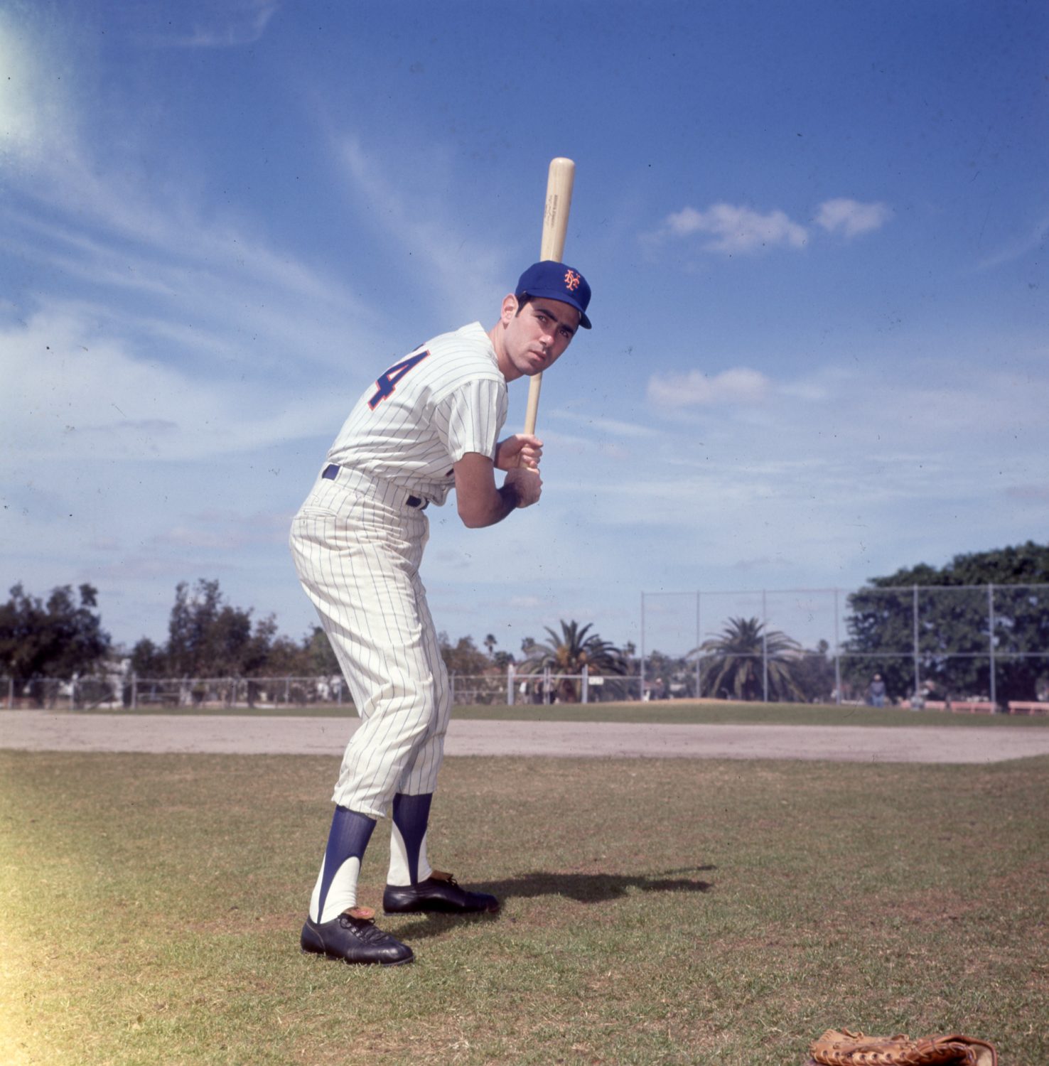 Art Shamsky's Batting Stance