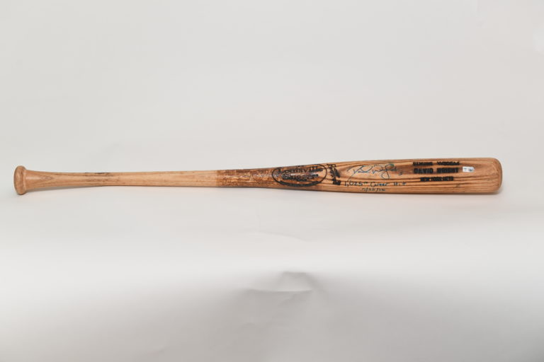 Full-length image of baseball bat